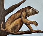 Nr 10 - The Southern Pig Tailed Macaque (2022)